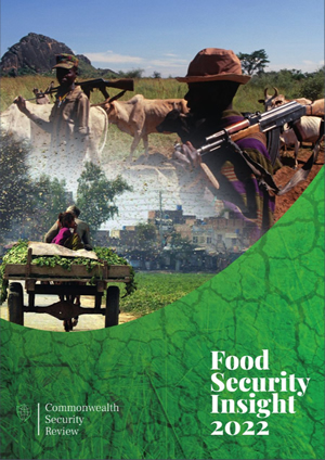 food_security_insight_2022.jpg